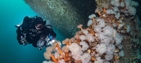 Technical Diving in Thailand